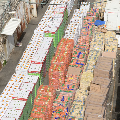 Pesach distribution